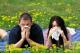 Herbal Remedies For Seasonal Allergies 